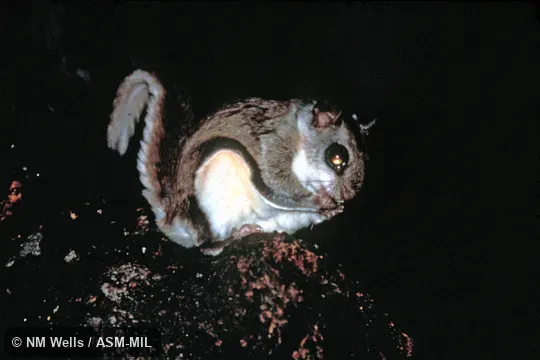 Individual sitting Individual sitting