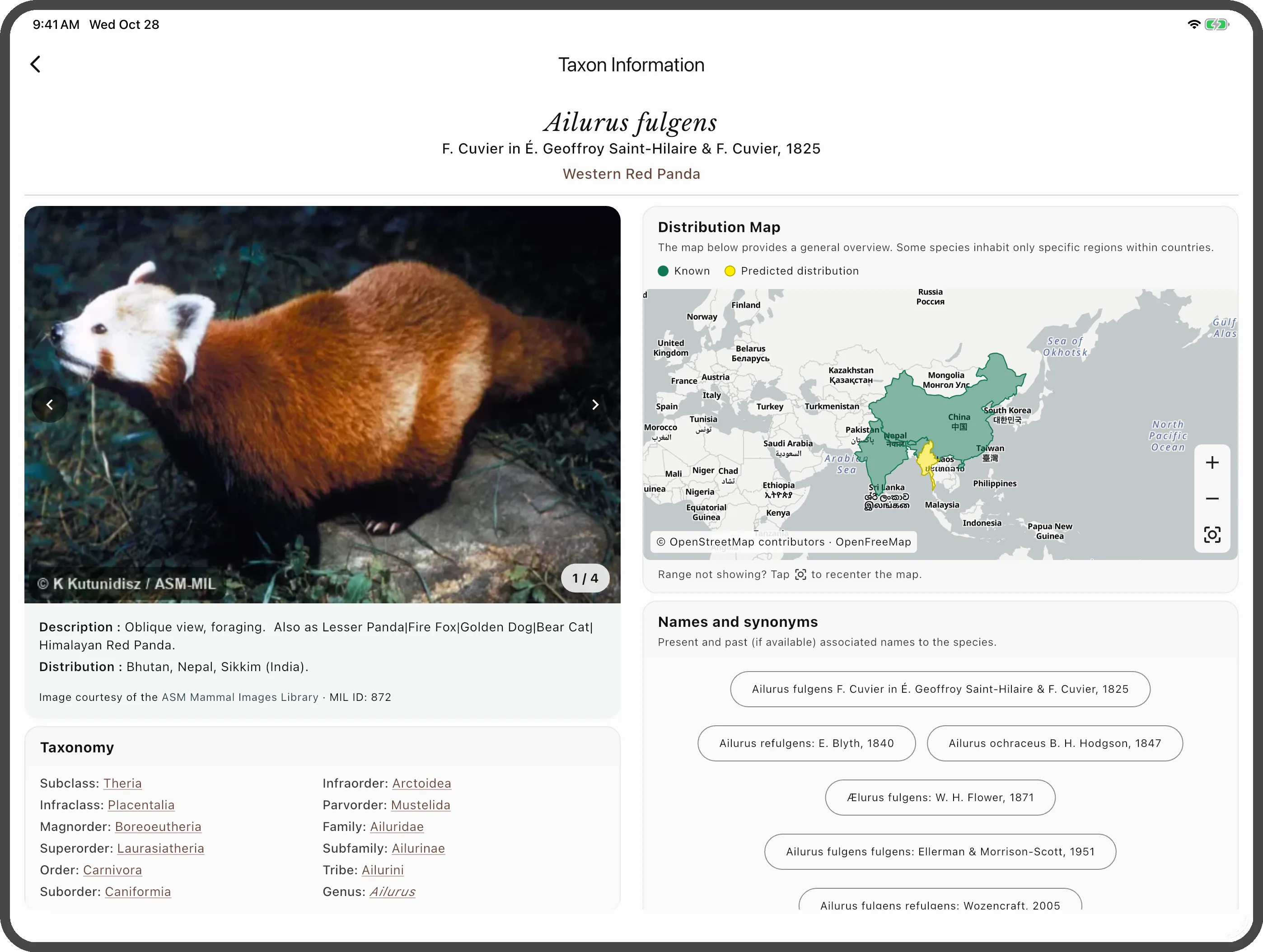 MDD app species page on iPad