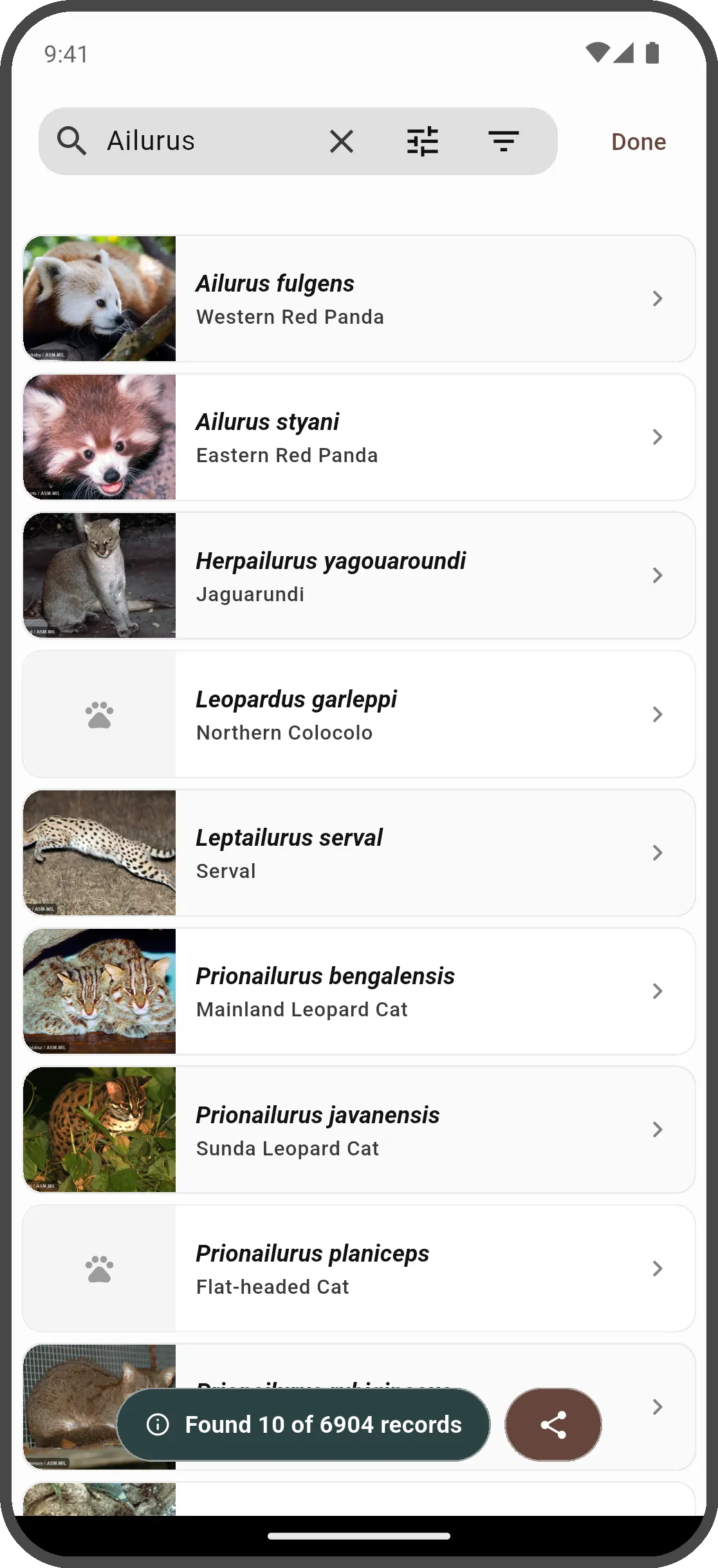 Search Screen