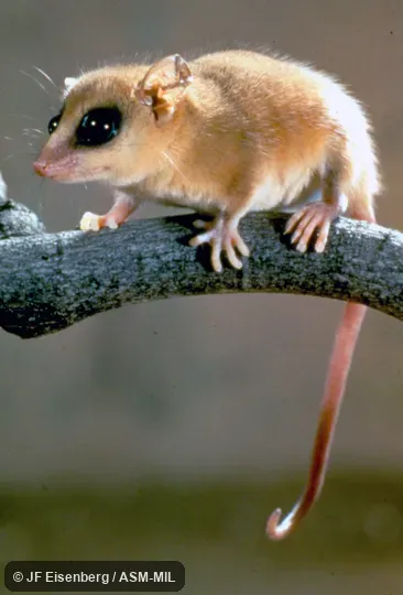 Side view of captive