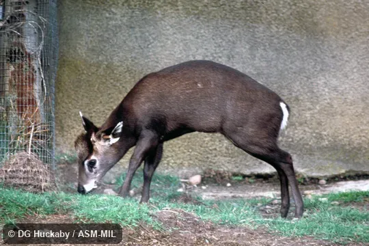 Side view, standing, male