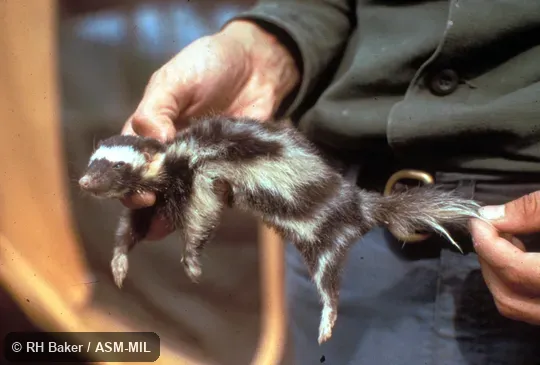 Side view, hand-held