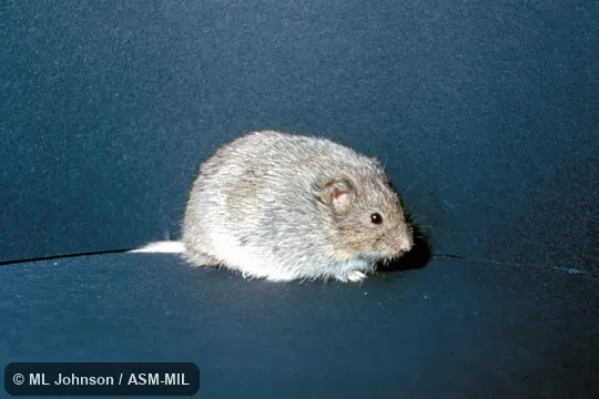 Side view, tail visible