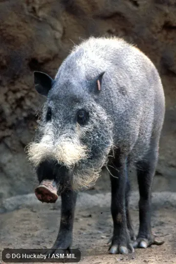 View from front, feet visible