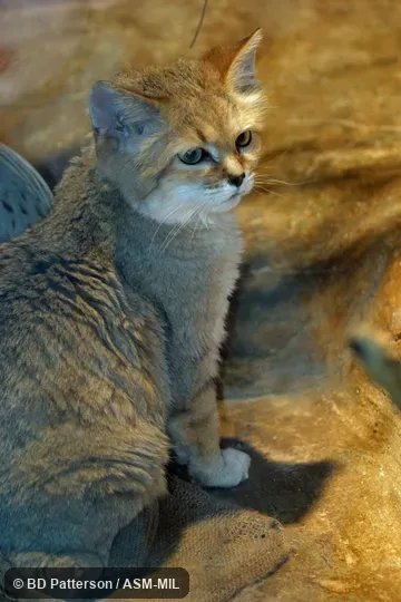 Side view of sitting adult, showing face
