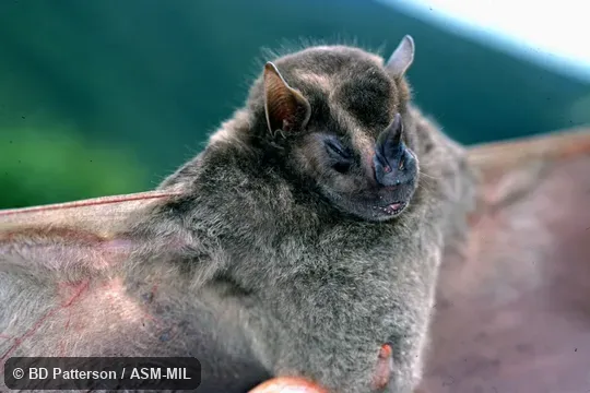 Adult, handheld, face in focus