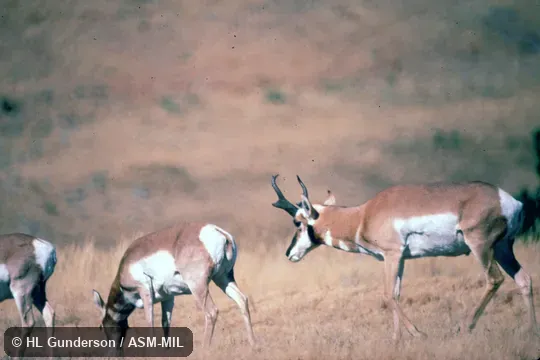 Side view of male Side view of male