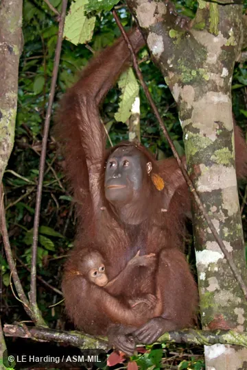 Mother and infant