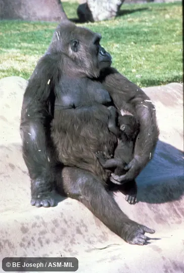 Sitting adult and infant