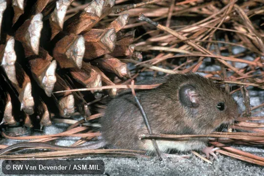Side view of captive