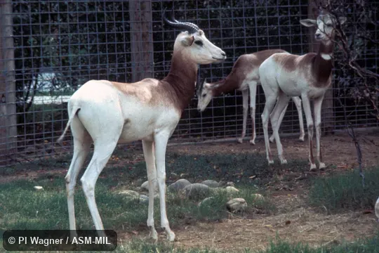 Oblique view of three adults