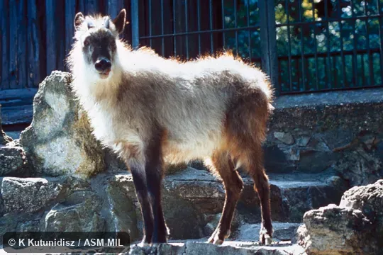 Side view of adult Side view of adult